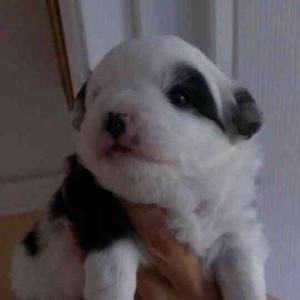 Meet your Posher, Vicky